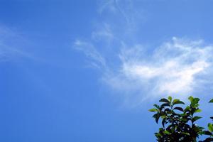 静岡県富士宮市に根差した信頼の葬儀サービス｜富士葬祭 田中町の詳細案内