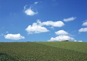 静岡市清水区に根ざす信頼の葬儀サービス【富士葬祭 双樹】 – 温かく落ち着いた和風邸宅会館で心に残るお別れをサポート
