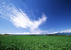 静岡県浜松市における家族葬の専門斎場「家族葬のタクセル葵西」の全貌と特徴