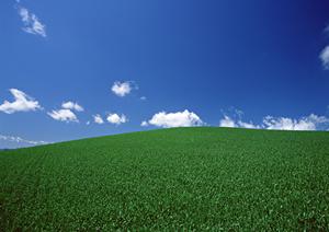 静岡市清水区に新規オープン!家族葬専用斎場「家族葬のタクセル東大曲」の特徴と利用メリット