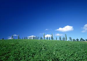 野田市における安心・充実の葬儀サービス:ティア野田の特徴と魅力