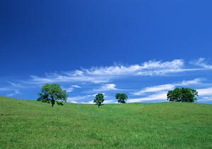 静岡県浜松市の家族葬専門斎場【家族葬のタクセル豊町】の特徴とサービス詳細