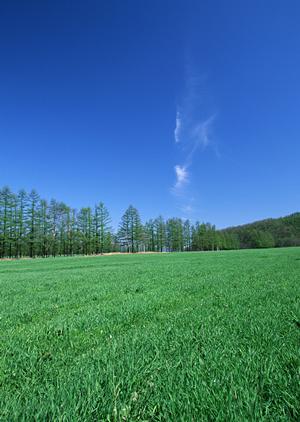 荒川区で信頼できる葬儀会館：ティア町屋の特徴と利用メリット