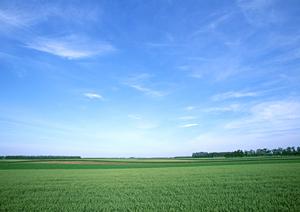 浜松市中央区小豆餅の家族葬・家族向け葬儀場｜富士葬祭 小豆餅の特徴とサービス内容