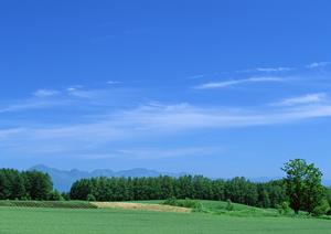浜松市中央区に位置する【富士葬祭 高林】の安心葬儀サービスと特徴