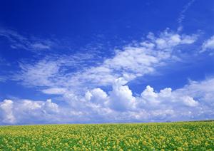 静岡市清水区の家族葬・斎場|家族葬のタクセル北矢部町の魅力とサービス内容