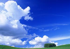 静岡・藤枝市で信頼される葬儀場:富士葬祭 藤枝城南の特徴とサービス概要