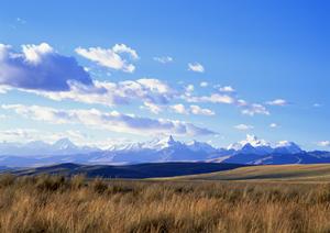 富士市瓜島の家族葬・小規模葬儀に最適な【公式】富士葬祭 富士瓜島の魅力と特徴