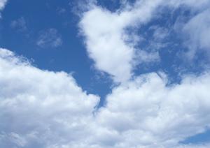 川越市で選ばれる家族葬のポイントと安心できる葬儀社の見つけ方