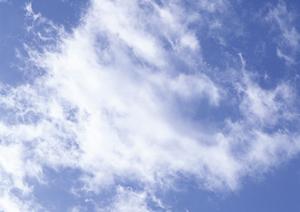 403 Forbiddenエラーの原因と解決策：ウェブ管理者必見のガイド