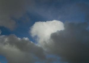 静岡県浜松市の家族葬専門斎場：家族葬のタクセル佐鳴台の特徴とサービス内容